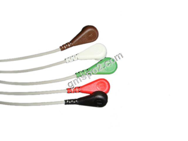 5-леад аха снап-.јпг 5-lead aha snap-.jpg